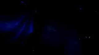JUNGLE FRESH - Wild Jungle vol.2- E.V.P live (WILDTHINGS RECORDS/UK) - 2009/02/14