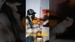 Violin | Dead Reflex (檀健次JC-T) Break the 4th wall!