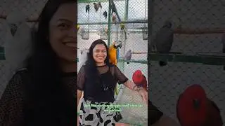 @sugeeresort open bird sanctuary #best resort in Bangalore