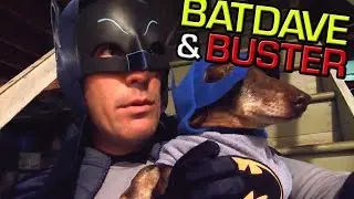 BatDave & Buster The Dog Wonder (Official 3-Minute Movie Trailer)