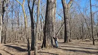 Great dog park and hiking trails on the Rum River in princeton mn