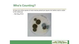 EPA Guidelines for Mold Remediation: Are They Good Enough?