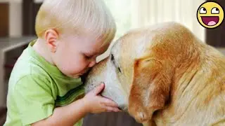 Funniest & Sweetest Moments of Babies with Their Dogs 🥰🐶