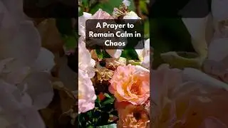 A Prayer to Remain Calm in Chaos | Morning Prayer for Inner Peace