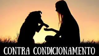 Como Funciona o Contra Condicionamento?