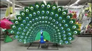 Lantern peacock test