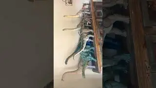 All Mattel Sauropods