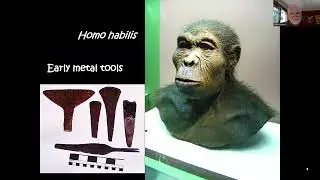 South African Inventions and Discoveries
