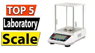 TOP 5 BEST Laboratory Scale Review 2024