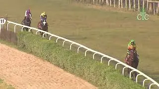 Команда RULING STAR выиграла Мемориальный кубок Альберта Пайперно.