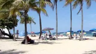Beach clip collection from Ft. Lauderdale Florida August 2009