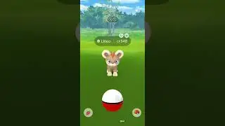 LUNAR NEW YEAR 2022 Event SHINY #LITLEO LEADS THE PRIDE in Pok&eacute;mon Go || Pok&eacute;mon Go #thepokegodrive