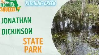 Kitching Creek in Jonathan Dickinson State Park