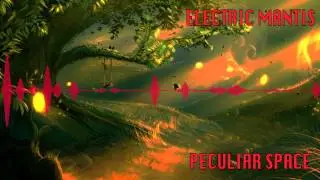 Electric Mantis - Peculiar Space