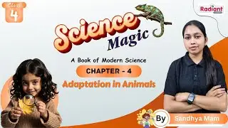 Adaptation in Animals | Science | Chapter - 4 | Class - 4 | By Sandhya Mam | Radiant Books |