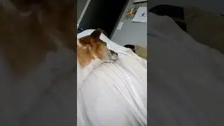 Last hours with Jack