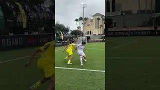 Look this NUTMEG! 🔥