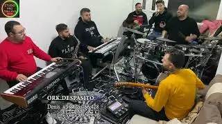 Ork Despasito & Beno COVER Ervin   Gospodini