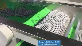 blueberry grader, blueberry sorter, blueberry grading machine