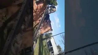 Dog Handling (DH1 - DH5) at Milites Dei Academy