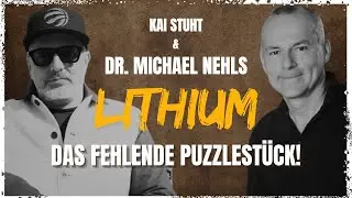 Michael Nehls - Lithium - das fehlende Puzzlest&uuml;ck!