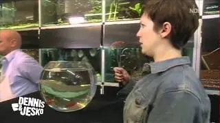 Fleischermeister Boesel in der Tierhandlung
