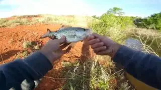 Oklahoma crappie fishing.