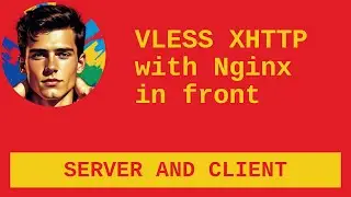 How to configure VLESS XHTTP with Nginx in front