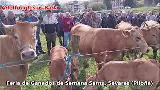 Feria de ganados en Sevares (Piloña)