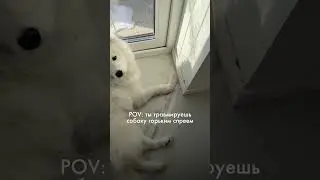 И ПОЧЕМУ Я РАНЬШЕ ЭТОГО НЕ ЗНАЛА, WB:453153129