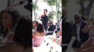 Schubert - Ave Maria #weddingceremony #wedding #ceremony #avemaria #classicalmiusic #violinist