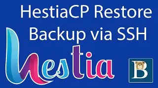 Восстановление резервной копии Hestia по SSH &mdash; импорт командной строки резервной копии HestiaCP