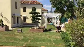 Expert Gardeners Costa del Sol - What we do