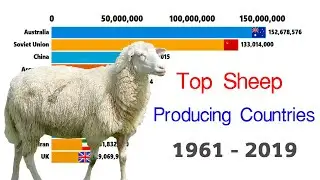 Livestock Sheep I Top Sheep Producing Countries I Ranking Sheep Population: Global Sheep Meat Market