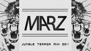 Jungle Terror EDM mix || Marz [001]