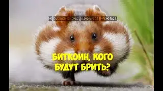 №57. БИТКОИН . МЫШЛЕНИЕ ХОМЯКА и ИНВЕСТОРА.