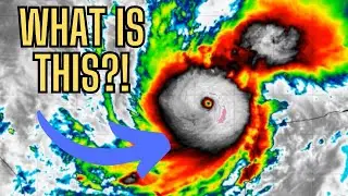 What Is a Hurricane and Can We Stop It?!