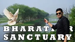 Cycle Ride Inside Keoladeo National Park | Bharatpur Bird Sanctuary