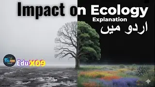 How is human destroying earth? Explained in Urdu/Hindi. #ecology
