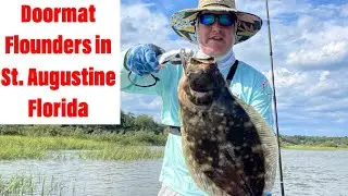 Doormat Flounders in St. Augustine Florida