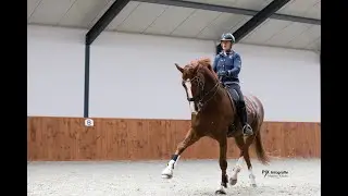 Hoe gaat het nu met Gaudi?!