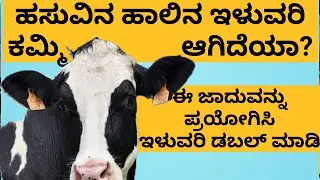 Best feed supplement to increase milk yield in dairy farm| supplement for high milk in cattle