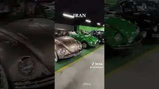 #vw  #beetle  lovers