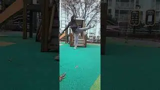 #simpleexercise #physicaltraining#간단한운동 #쉬운운동 #체력단련 #놀이터#춥다