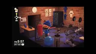 Animal Crossing Gym
