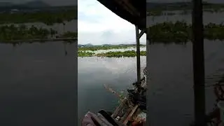Serangan nila badot mak jos...