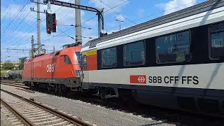 Schnellzug mit zwei Taurus und Schweizer erste Klasse Wagen ( 1116 269-2 und 1116 260-1 )