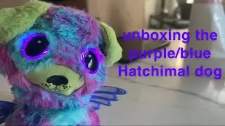 unboxing the purple/blue Hatchimal dog￼￼