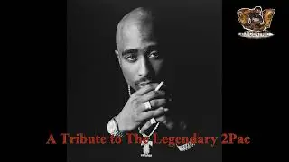 Turning Struggle into Timeless Hip Hop Classics: 2Pac Lives Through His Music