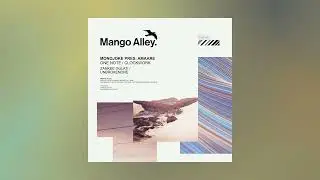 Monojoke, Amaare - One Note (Zankee Gulati Remix)